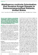 Rigidoporus corticola Colonization and Invasive Fungal Disease in Immunocompromised Patients United States