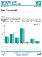 Births Final Data for 2017