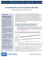 Suicide Mortality in the United States 20022022