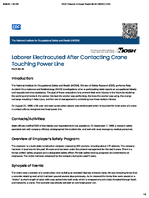 Laborer Electrocuted After Contacting Crane Touching Power Line FACE 8840