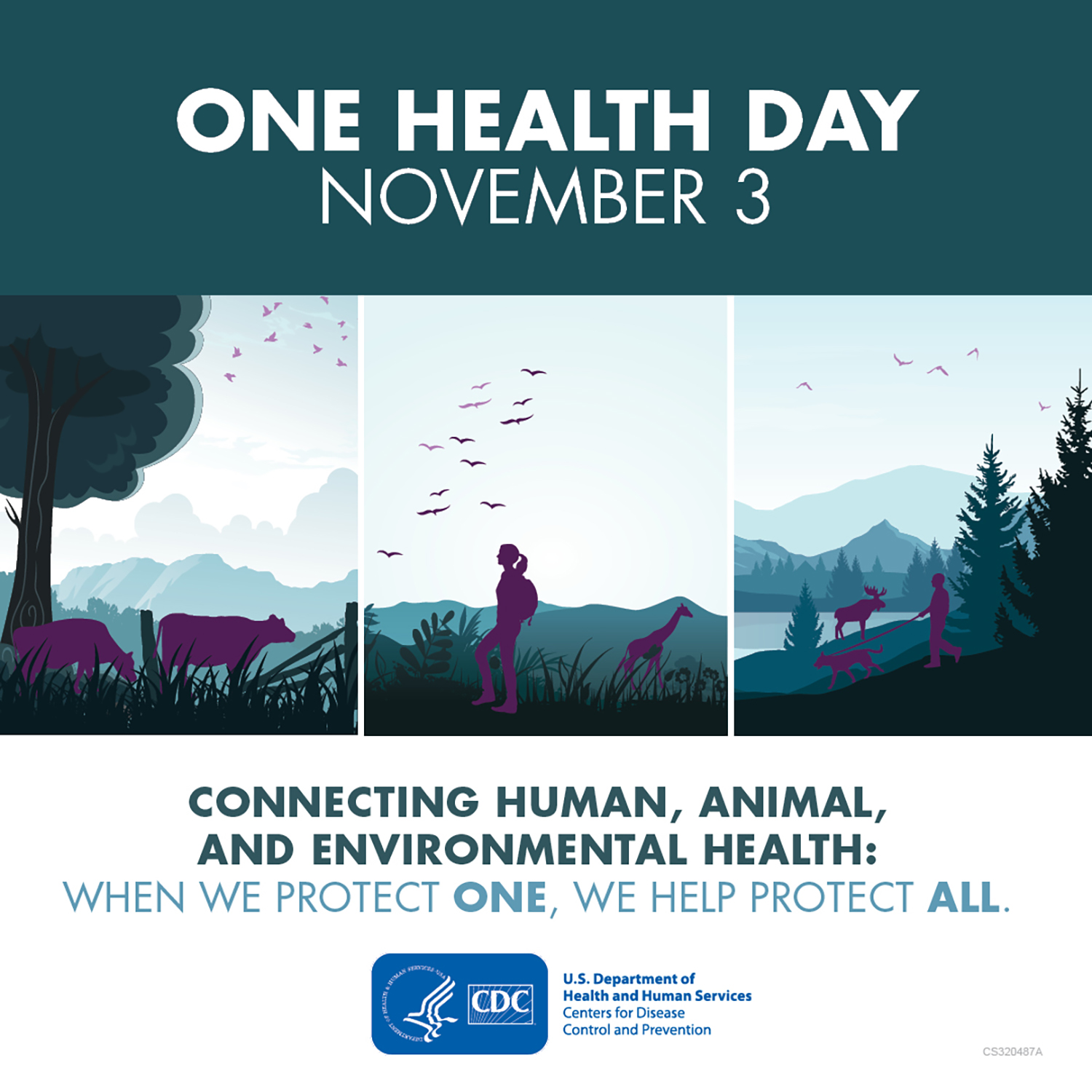 One Health Day : November 3