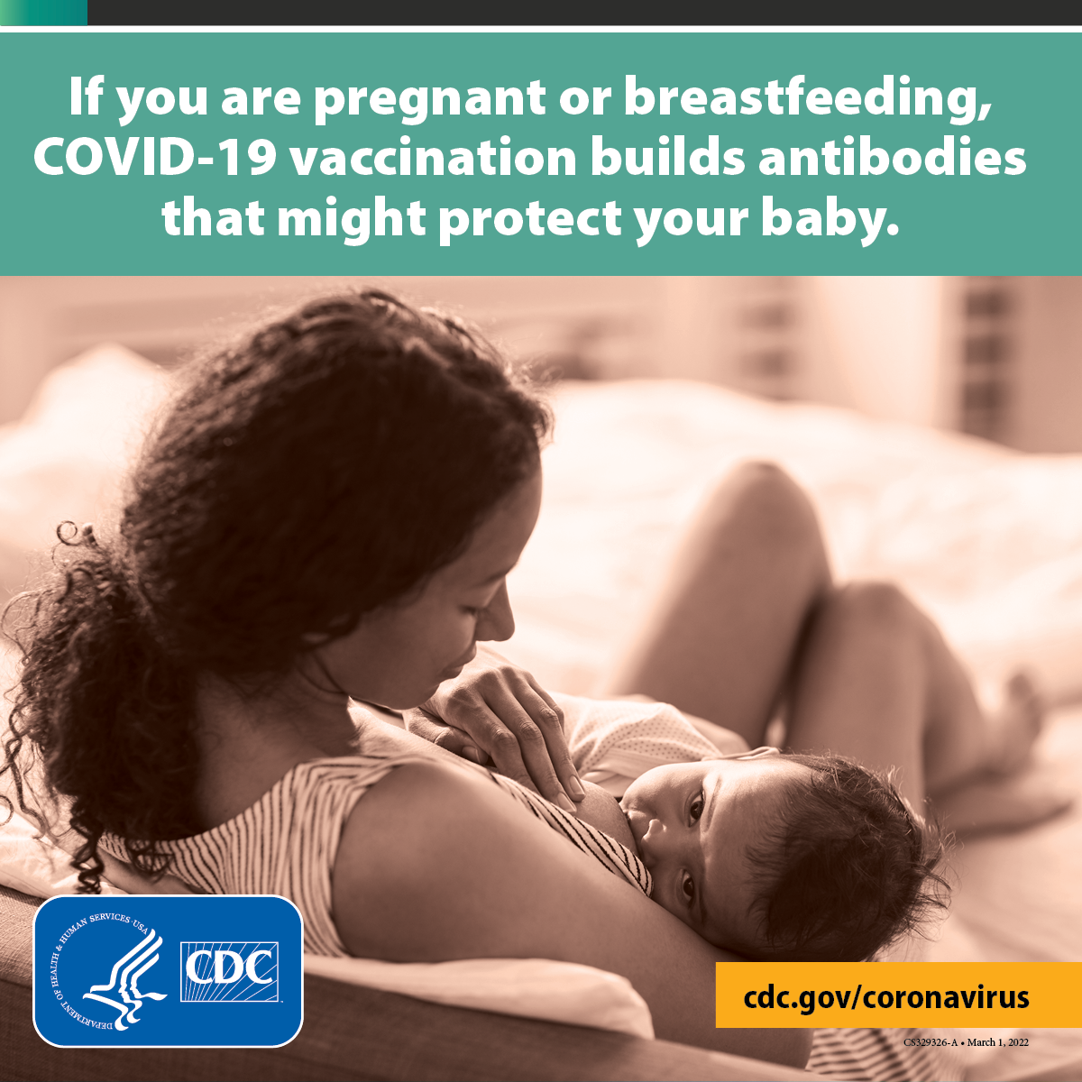 If you are pregnant or breastfeeding, COVID-19 vaccination builds antibodies that might protect your baby