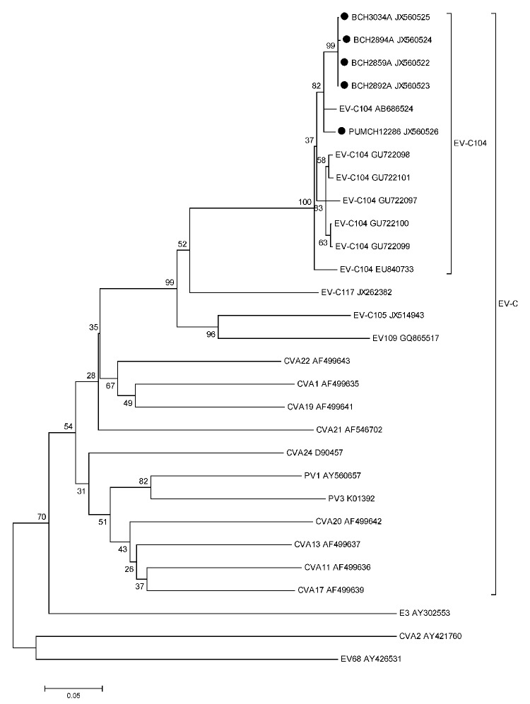 Epidemiology of ebola virus disease pdf picture