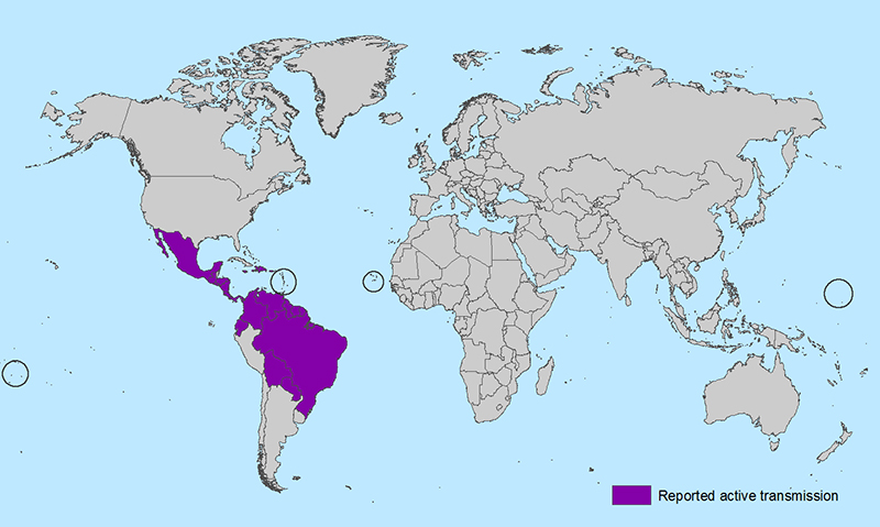 All countries and territories with active Zika virus transmission
