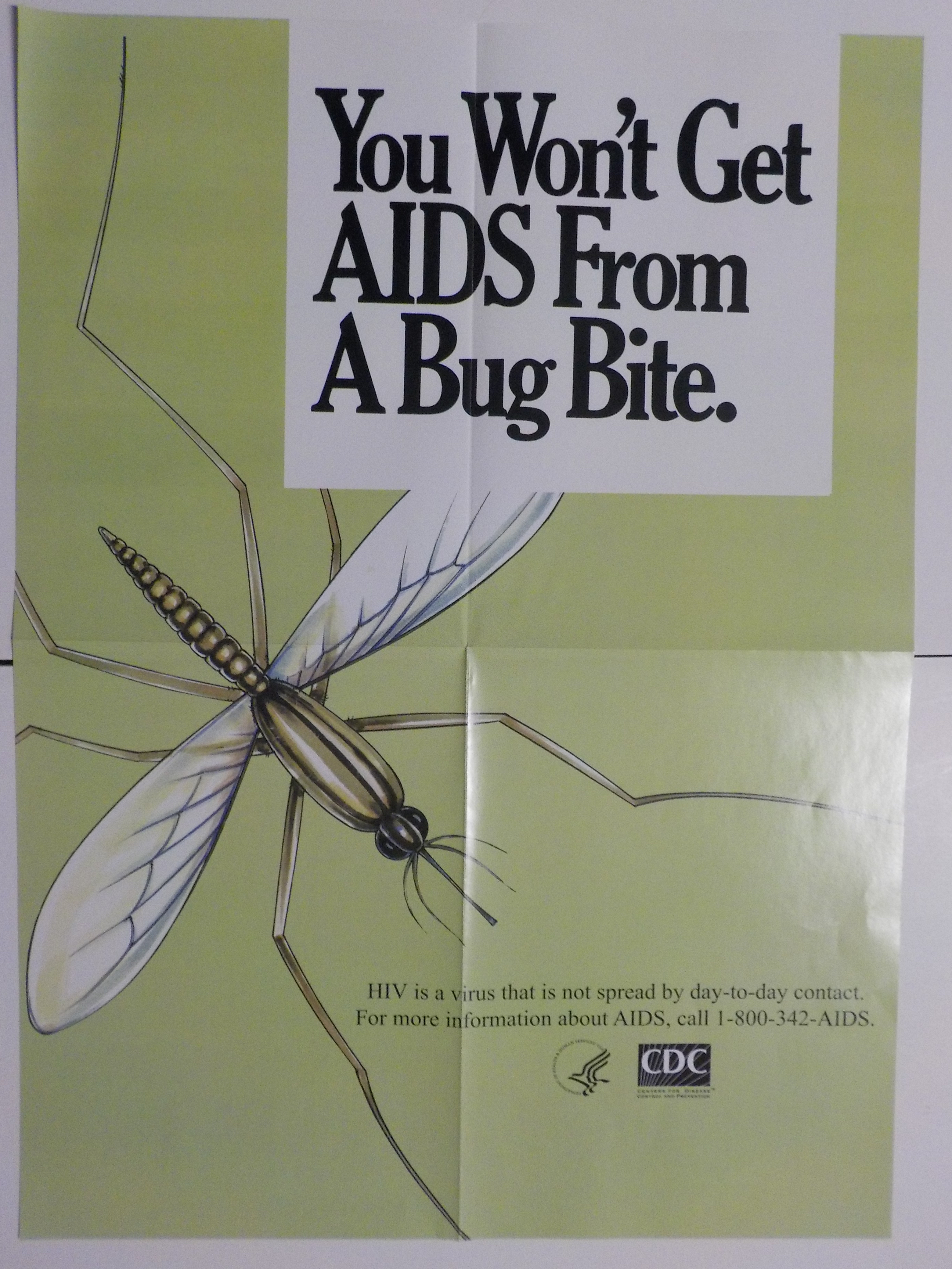 You won't to get AIDS from a bug bite