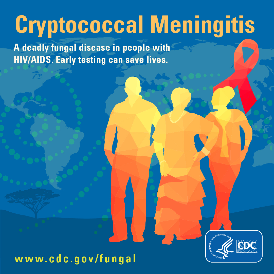 Cryptococcal meningitis