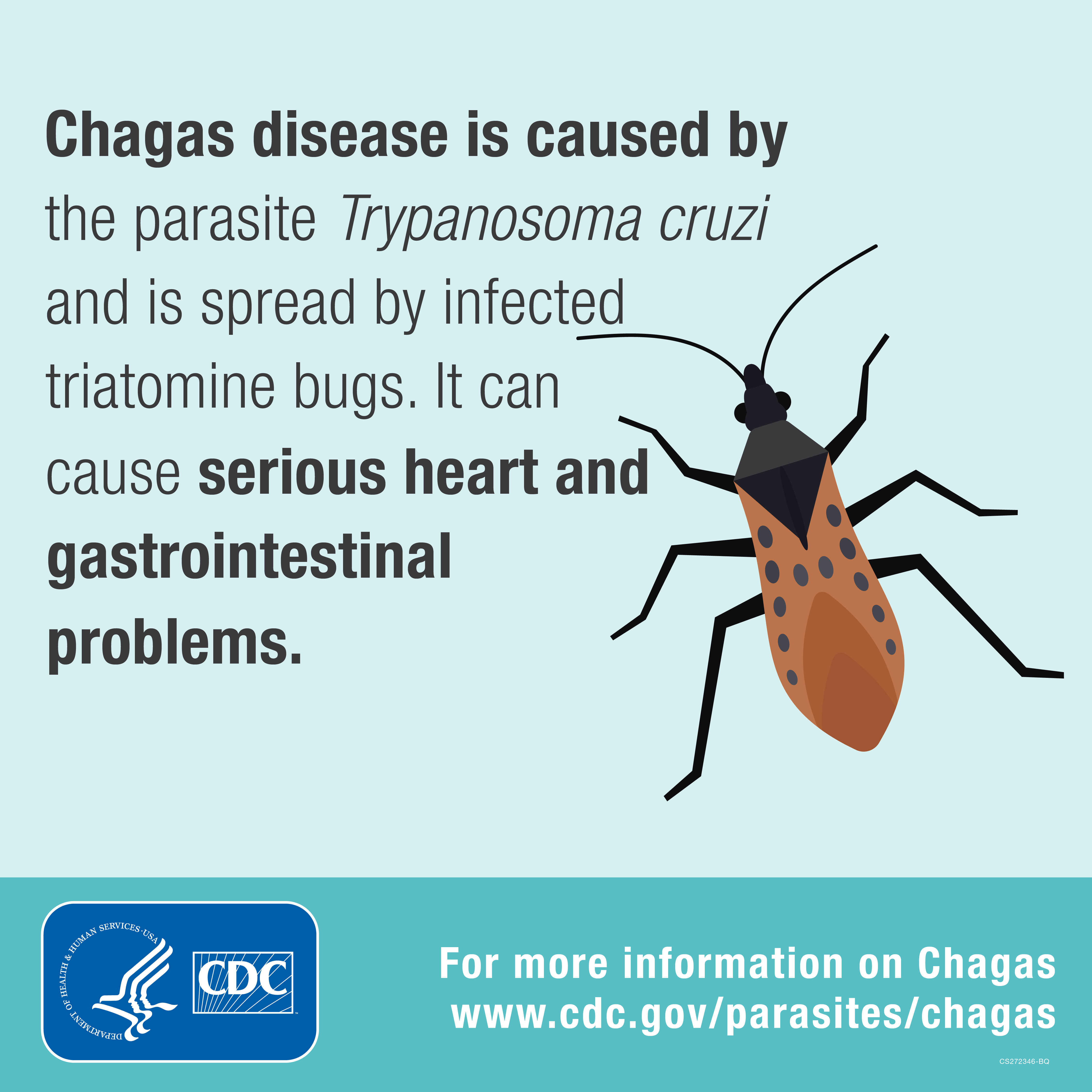 Chagas disease is cased by the parastie Trypanosoma Cruzi and is spread by infected triatomine bugs. It can cause serious heart and gastrointestinal problems.