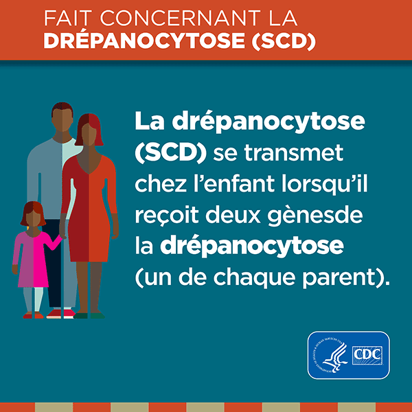 La drépanocytose (SCD) se transmet chez l'enfant lorsqu'il reçoit deux gènes de la drépanocytose (un de chaque parent)