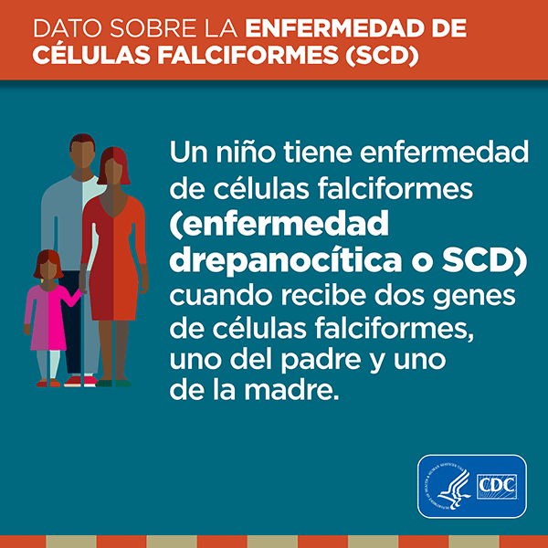 Un niño tiene enfermedad de células falciformes (enfermedad drepanocitica o SCD) cuando recibe dos genes de células falciformes, uno del padre y uno de la madre.