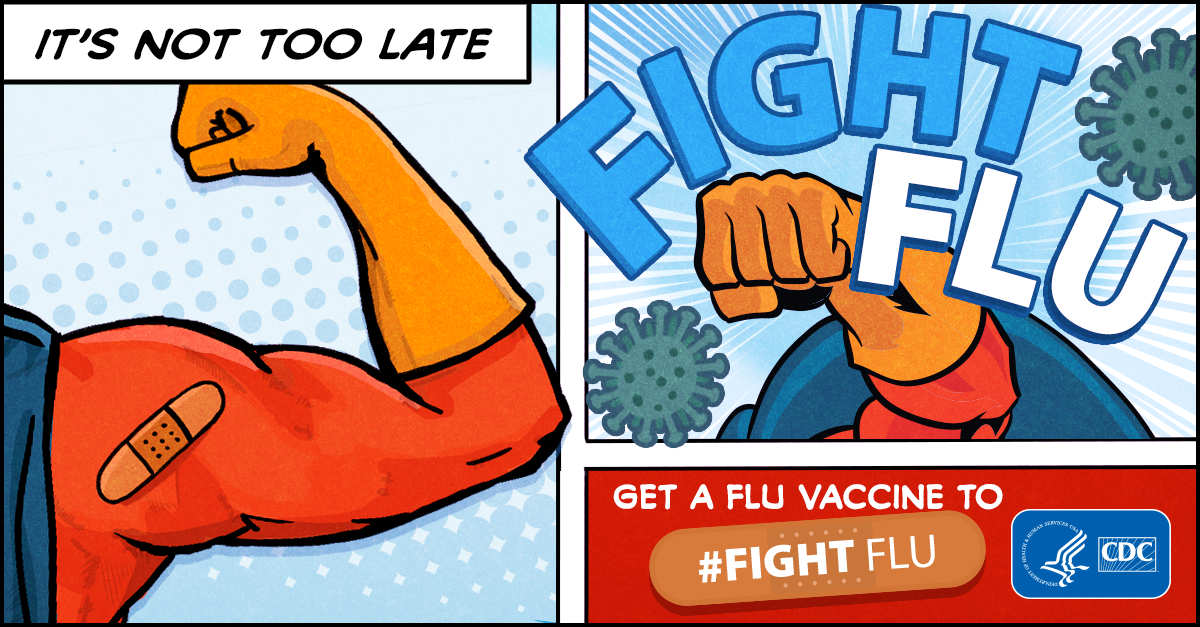 It's not too late : fight flu