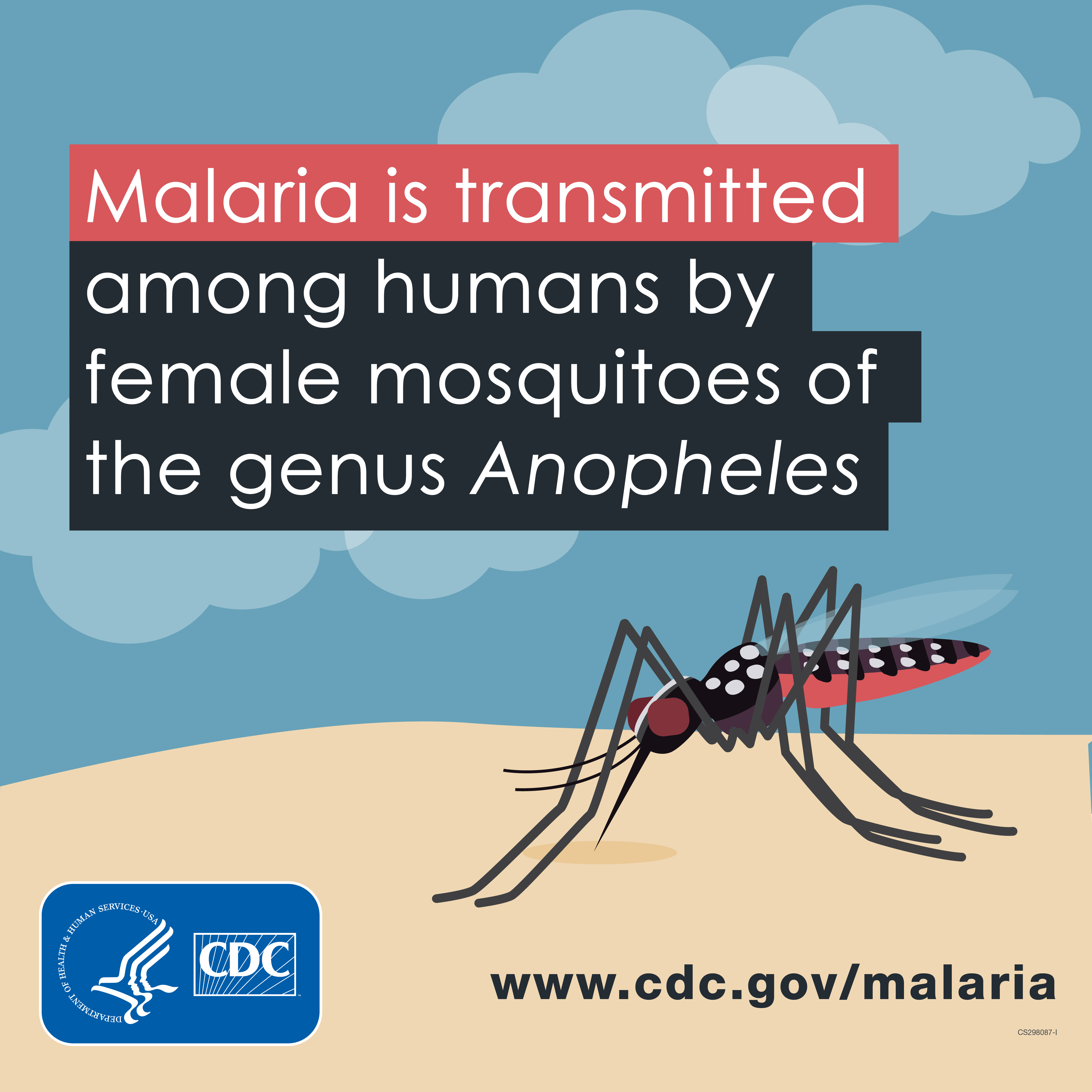 Malaria is trnsmitted among humans by female mosquitoes of rthe genus Anopheles