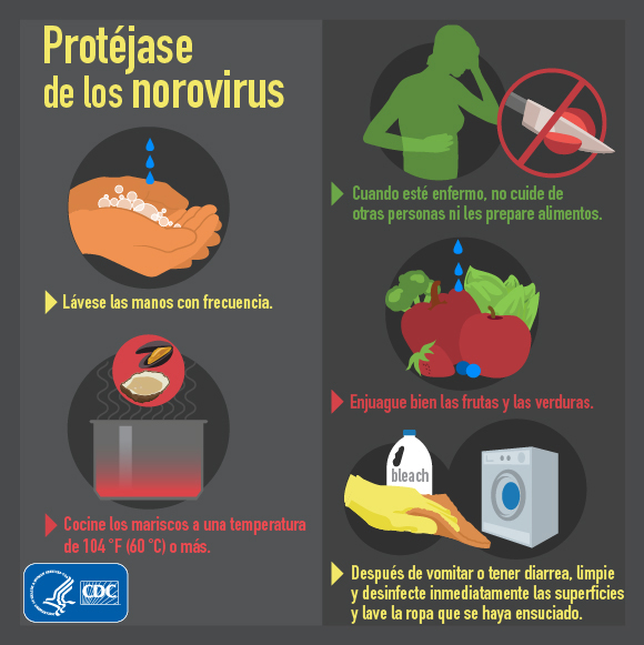 Protéjase de los norovirus
