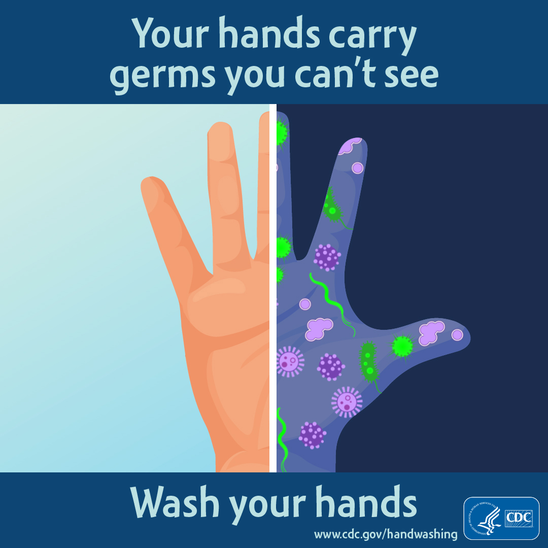 Your hands carry germs you can't see : wash your hands