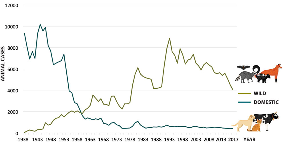 Data visualization : Then & now: changes in rabid animals reported