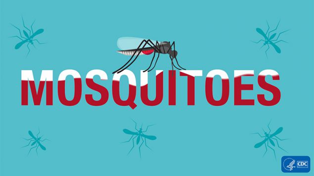 World Mosquito Day