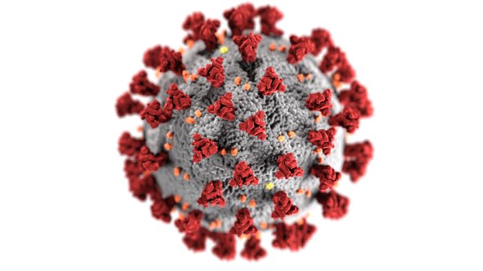 Severe Acute Respiratory Syndrome coronavirus 2 (SARS-CoV-2)  illustration