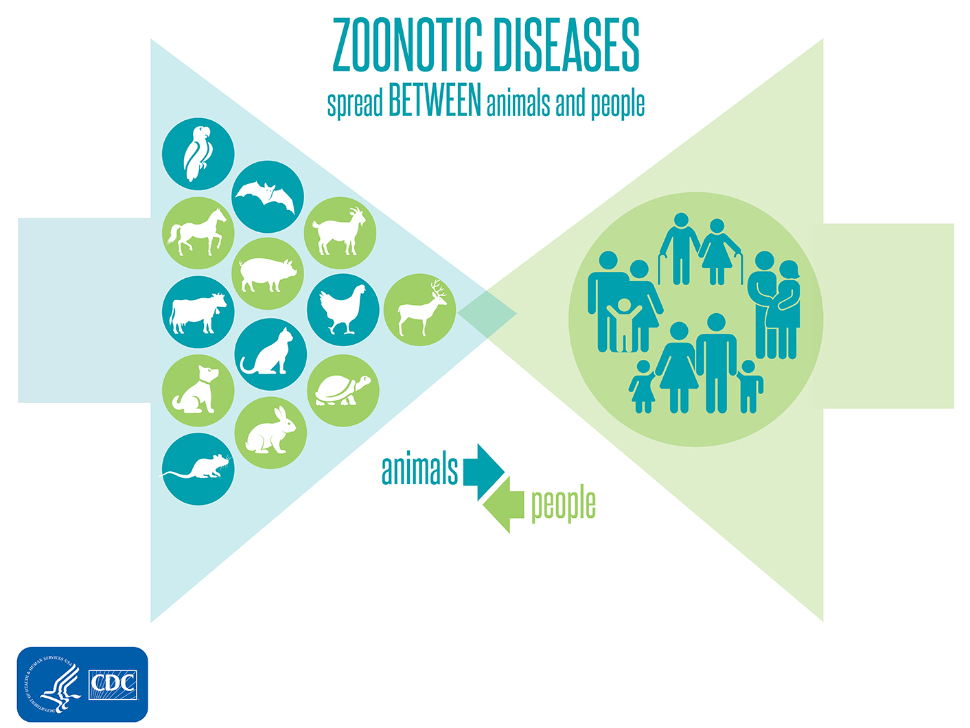 Zoonotic diseases spread between animals and people