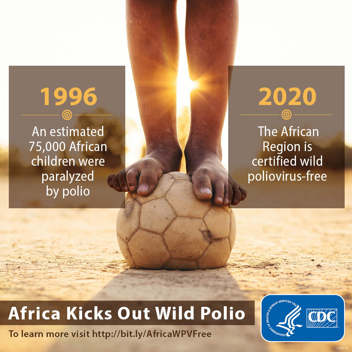 Africa kicks out wild polio